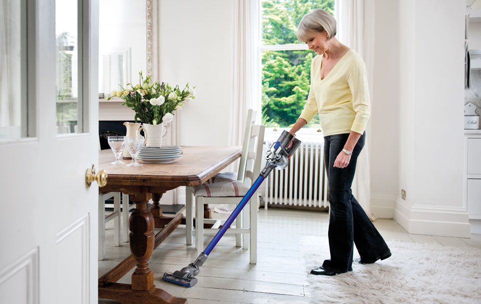Dyson DC44 Animal – Overview | sa.Dyson.com